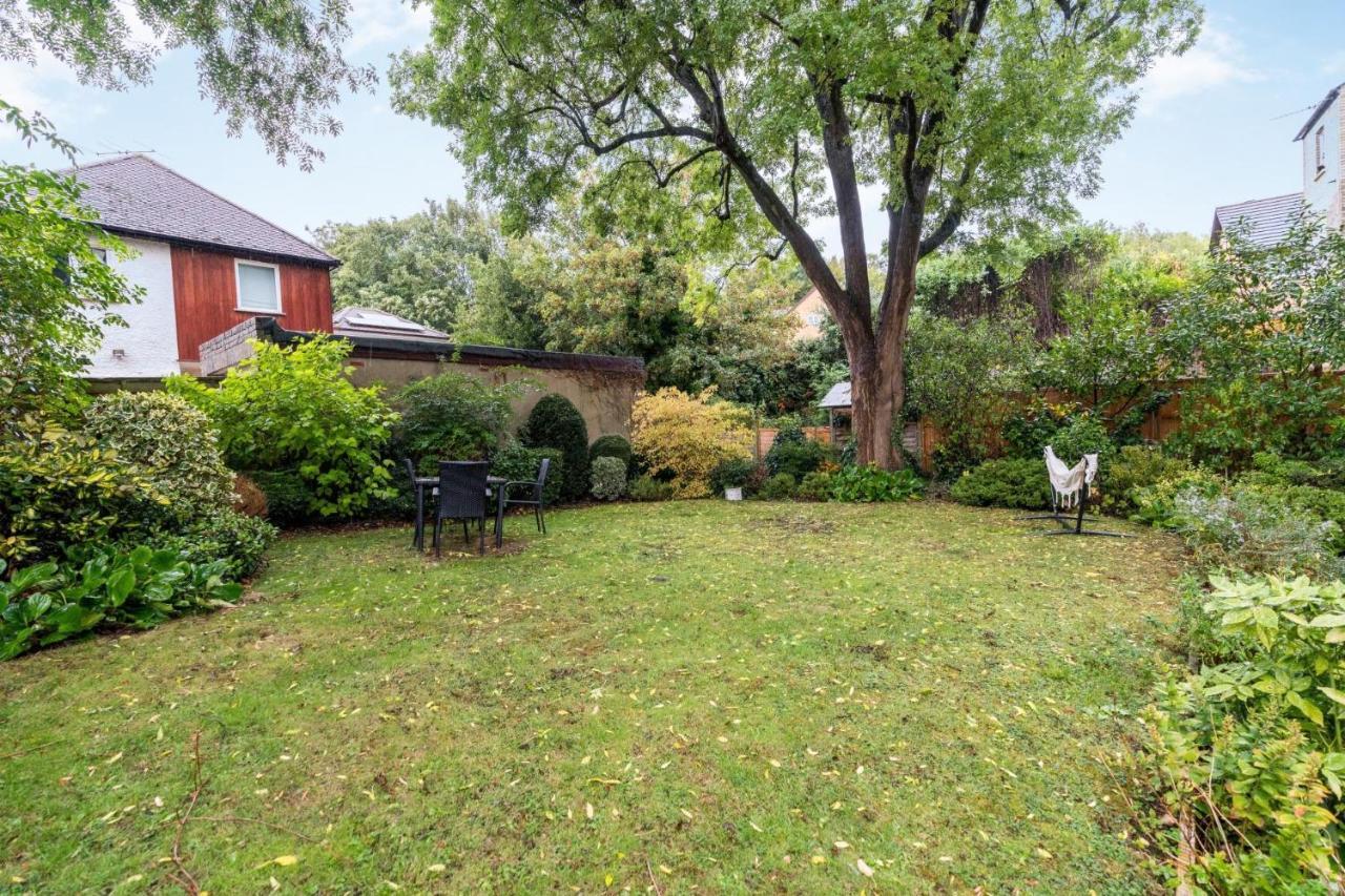 New Fantastic 1Bd Crystal Palace Flat In London Apartment Exterior photo